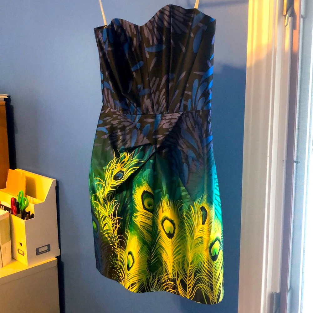 Peacock Party Dress